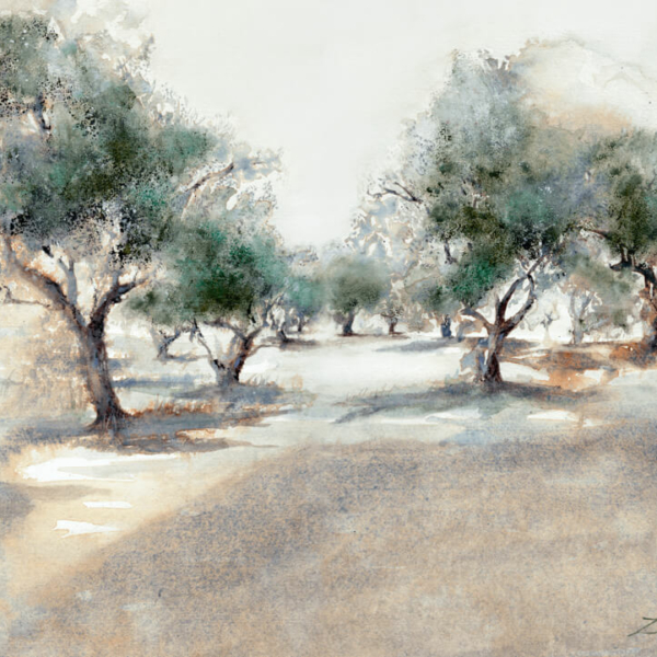 Olive Grove by Zuzana Edwards, original framed painting set in Provence