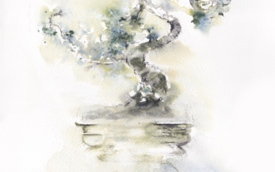 Bonsai by Zuzana Edwards, watercolour painting