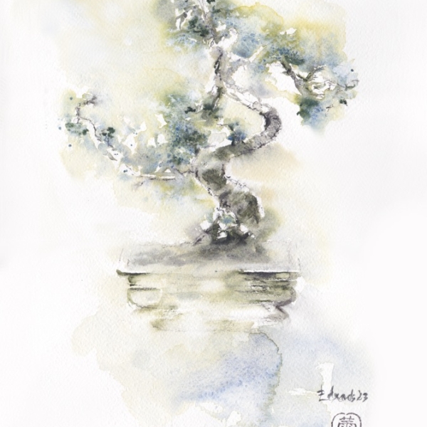 Bonsai by Zuzana Edwards, watercolour painting