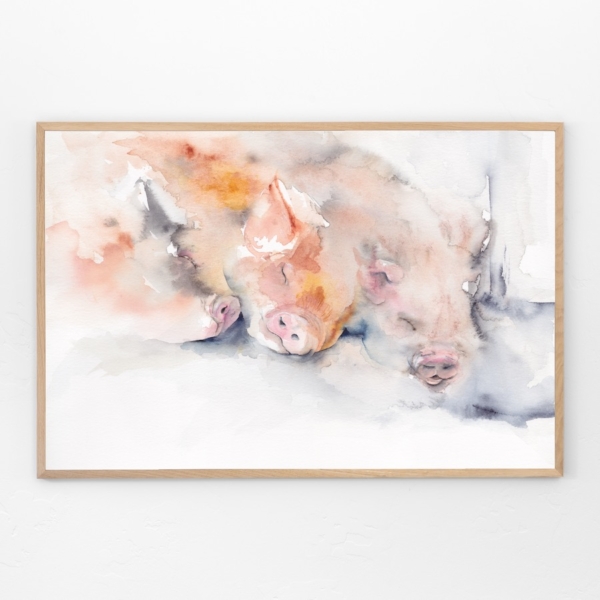 Dreaming of spuds by Zuzana Edwards, three sleeping pigs fine art prints