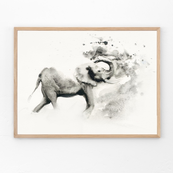 Elephant Bath by Zuzana Edwards, fine art print