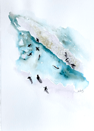 Masters of frolic by Zuzana Edwards. Penguins from birds eye perspective. Minimalist fine art painting - 11.5 x 15 inch (28 x 38 cm).