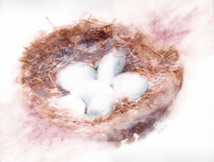 Bird nest by Zuzana Edwards, Minimalist watercolour, 40 x 30.5 cm