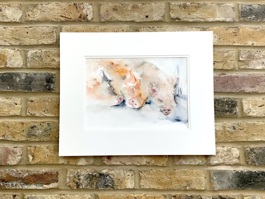 Dreaming of spuds by Zuzana Edwards, Pigs sleeping, whimsical watercolour painting. Original in double mount, unframed.