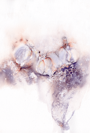 Three Garlic Bulbs by Zuzana Edwards, Food - Garlic, Fine Art Print
