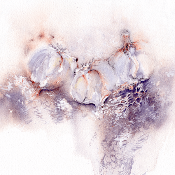 Three Garlic Bulbs by Zuzana Edwards, Food - Garlic, Fine Art Print