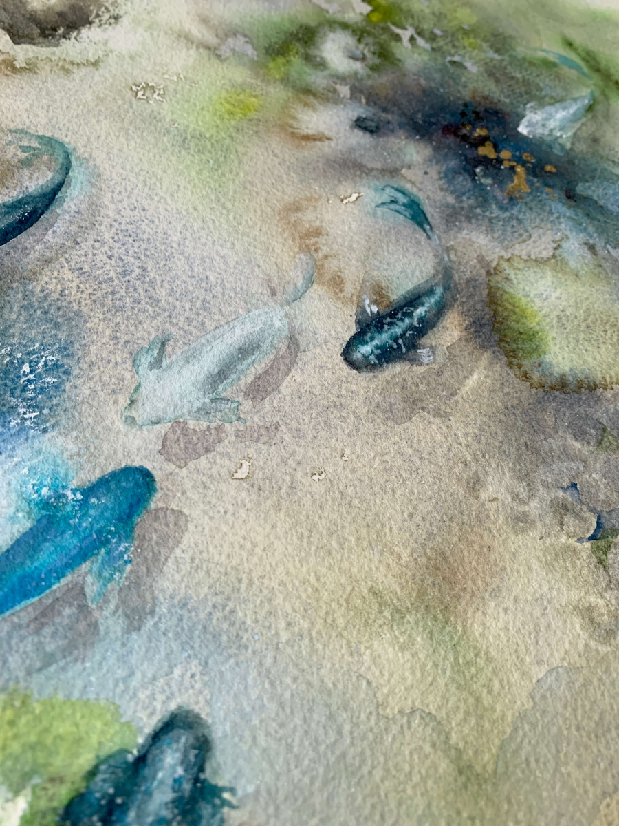 Blue Koi, original painting by Zuzana Edwards