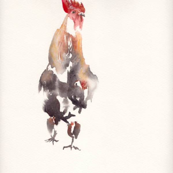 Suspicious eye by Zuzana Edwards, Rooster watercolour, Japanese Style, Fine Art print, Limited Edition, 25 x 35 cm