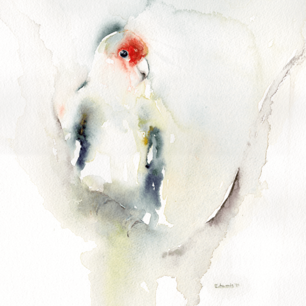 Lovebird by Zuzana Edwards, minimalist animal - bird painting, 11 x 14 inch (28 x 38 cm).