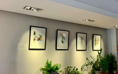 Paintings on show in Twickenham