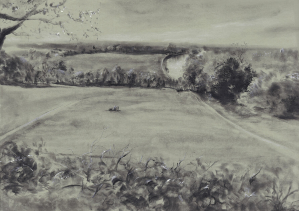 Richmond Hill by Zuzana Edwards, atmospheric monochrome landscape drawing