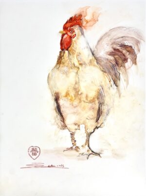 Rooster by Zuzana Edwards, animal portrait