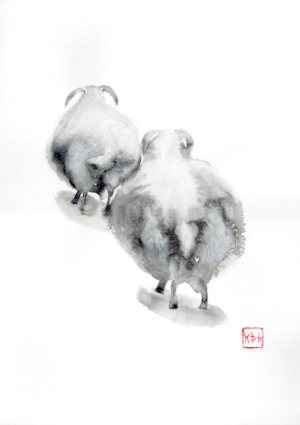 Running away from haircut, Sheep, watercolour 12 x 16 inch (31 x 41 cm)