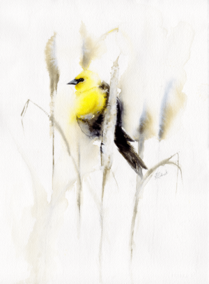 Yellow Jacket by Zuzana Edwards, Bird in grass, Japanese style, minimalist watercolour, 28 x 38 cm